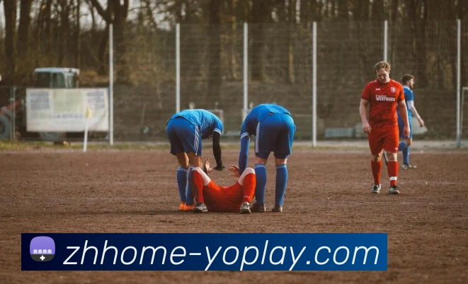 YOPLAY电子官网发展历程